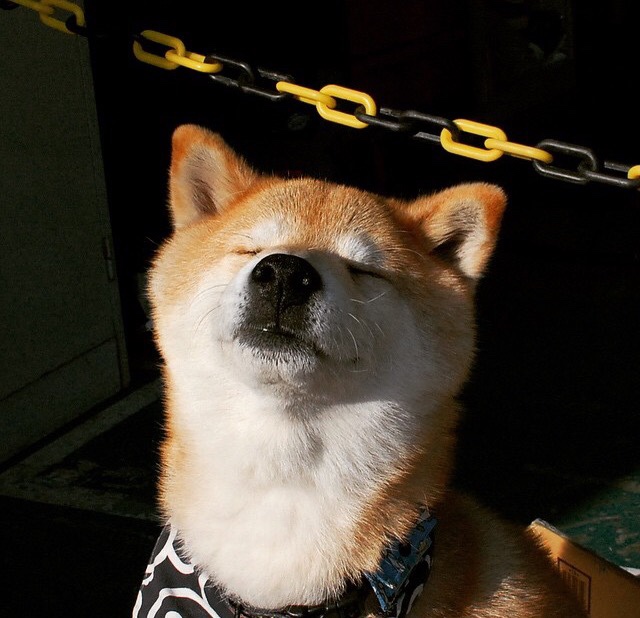 马竞稳固站位抵挡连续反扑攻势,马竞防守集锦