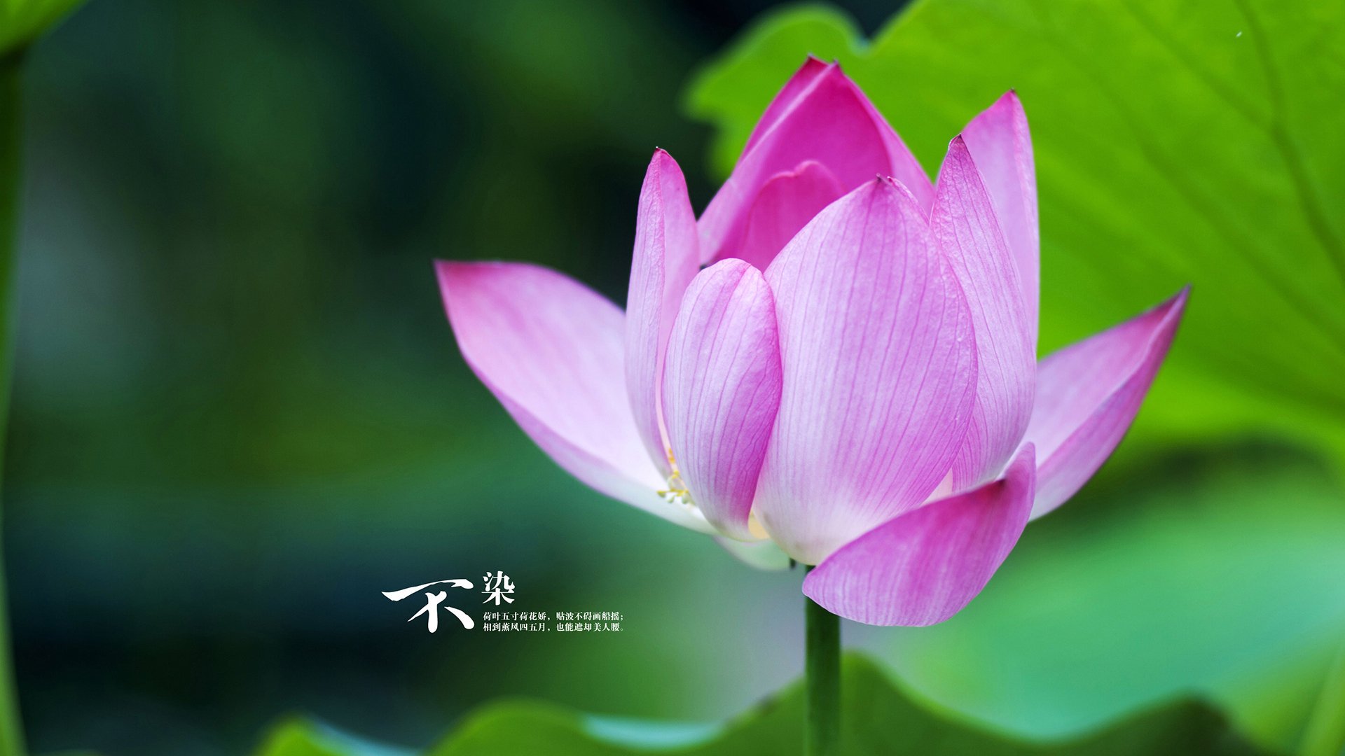 乐鱼体育平台官网-国足门前处理效率排名评估，国足国门